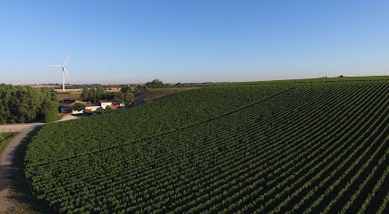 PRIEURE LA CHAUME, Vignoble à Vix
