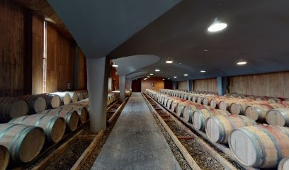 Château Haut Selve, Vignoble à Saint-Selve