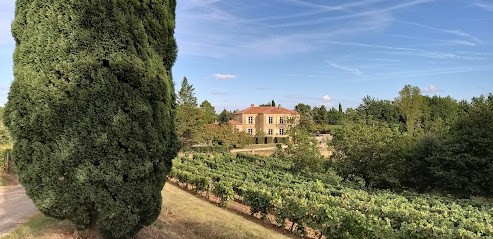 Château de Rouffiac, Vignoble à Duravel