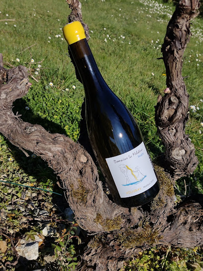 Domaine La Melotine Vignoble à Reugny