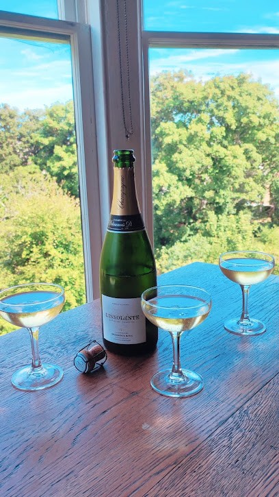 Champagne Delaunois D & Fils, Vignoble à Rilly-la-Montagne