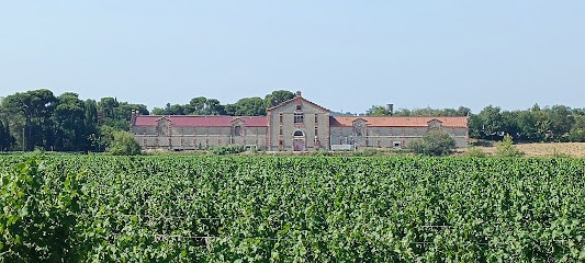 Domaine de Védilhan, Vignoble à Moussan