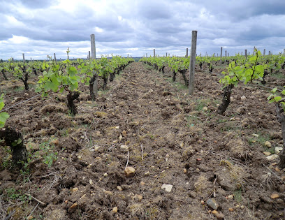 Emile Balland, Vignoble à Bonny-sur-Loire