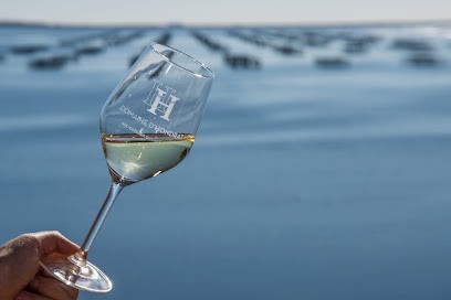 Domaine D'Hondrat, Vignoble à Villeveyrac