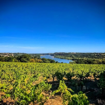 Domaine Landron Chartier, Vignoble à Saint-Géréon