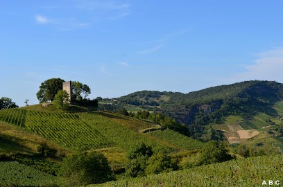 Alexis Balivet, Vignoble à Mérignat