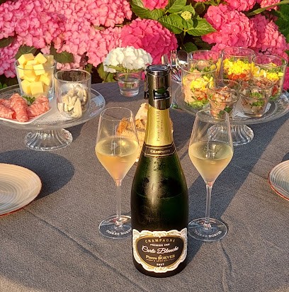 CHAMPAGNE Pierre BOEVER, Vignoble à Val de Livre