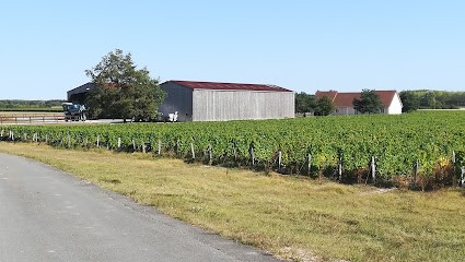 Domaine Le Clos du Bourg, Vignoble à Sassay