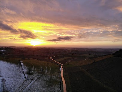 Domaine De La Borde - Mareschal Julien, Vignoble à Pupillin