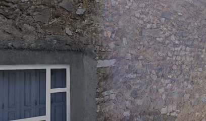 Domaine Benoît HOMS, Vignoble à Tourouzelle