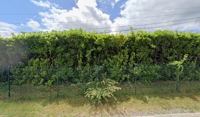 Vayres Embouteillage Conditionnement, Vignoble à Vayres