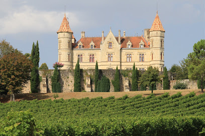 Chateau Moncassin, Vignoble à Leyritz-Moncassin
