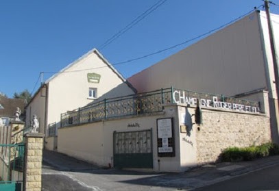 Champagne Jean-Michel Rogier EI Serzy-et-Prin, Vignoble à Serzy-et-Prin
