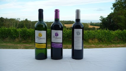 LES CHEMINS - EARL RIEUX-CHAUMARAT, Vignoble à Saint-Germain-de-Grave