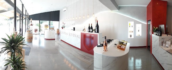 CAVE DU CHATEAU JUVENAL, Vignoble à Saint-Hippolyte-le-Graveyron