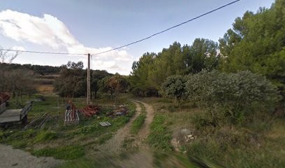 Darmanin Jean-Luc, Vignoble à Saint-Pargoire