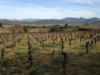 Domaine Thomas Angles Vignoble à Saint-Chinian
