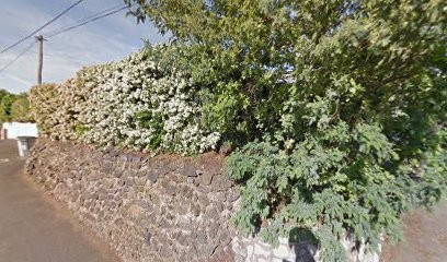 Cave Coopérative De Vinification, Vignoble à Saint-Thibéry