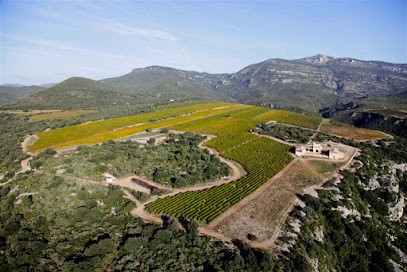 Vignobles Jeanjean, Vignoble à Saint-Félix-de-Lodez