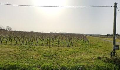 GAEC Des Brandines, Vignoble à Saint-Nexans