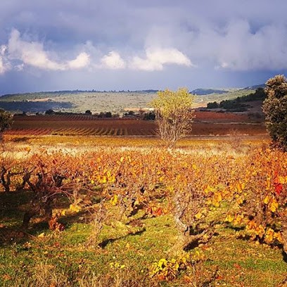 SCAV Les Terroirs Du Vertige, Vignoble à Talairan