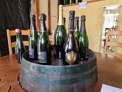 Serge Gaudriller, Vignoble à Val de Livre