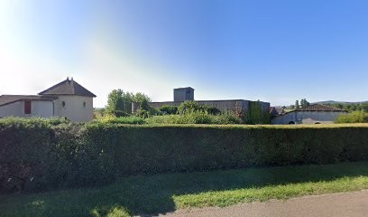 Cave Talmard, Vignoble à Uchizy