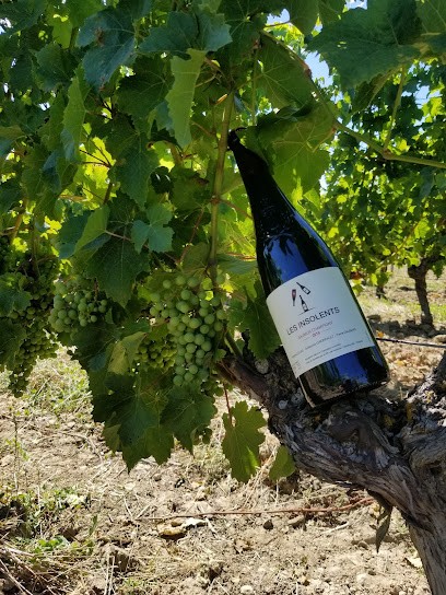 Domaine Les Insolents, Vignoble à Varrains