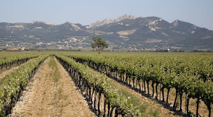 Domaine Martin : Crûs Et Vins Des Côtes Du Rhône, Vignoble à Travaillan