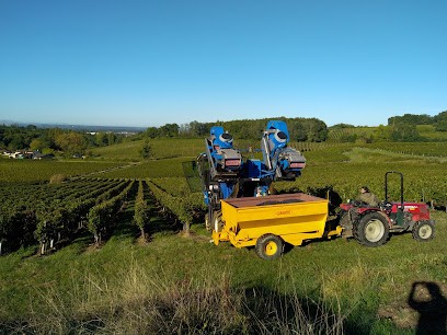 VIGNOBLES MASSARIN Château FERRASSE, Vignoble à Castillon-la-Bataille