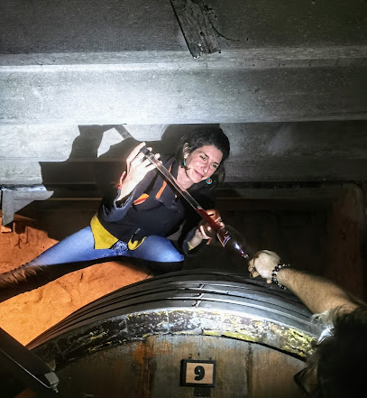 Gaëlle Passas, Vignoble à Plats
