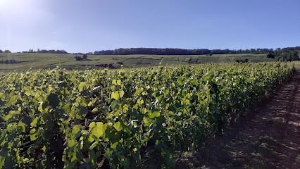 Champagne Jean Hû, Vignoble à Vincelles