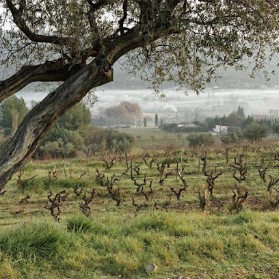 Domaine De La Miquelette Vignoble au Beausset