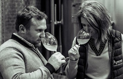 Champagne M.Marcoult, Vignoble à Barbonne-Fayel