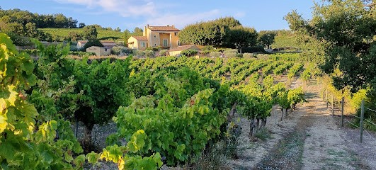 Domaine de Font Alba, Vignoble à Apt