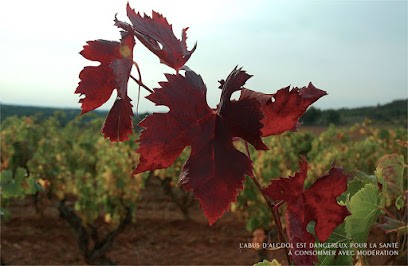 Domaine De LANSAC, Vignoble à Tarascon