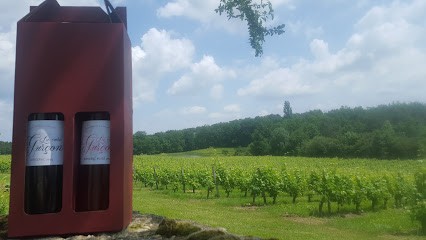 La Cure De Gurçon, Vignoble à Saint-Méard-de-Gurçon