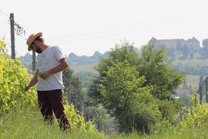 Fontaine Des Grives Vigneron Paysan, Vignoble à Thénac