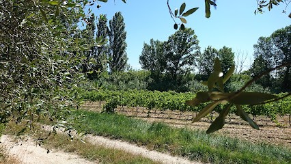 Domaine Villa Silvius, Vignoble à Visan