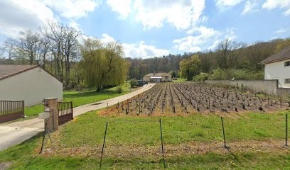Earl Strauss Georgeton, Vignoble à Villers-Allerand