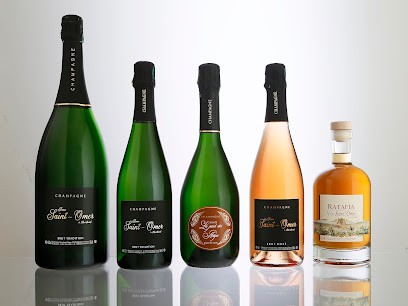 Champagne Jean Saint-Omer, Vignoble à Mardeuil