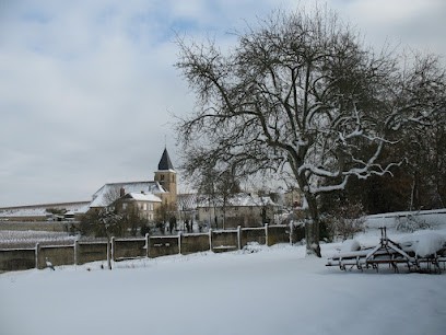 Champagne Lepitre Prévost, Vignoble à Chigny-les-Roses