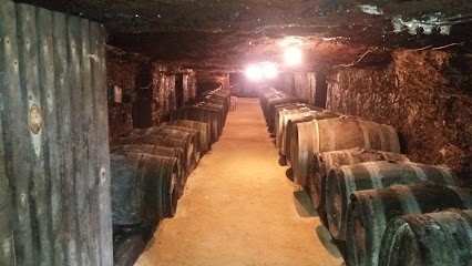 Vallet EARL, Vignoble à Saint-Léger-de-Montbrillais