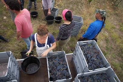 Jérémie Illouz - Domaine Parlange Et Illouz, Vignoble à Villesèque