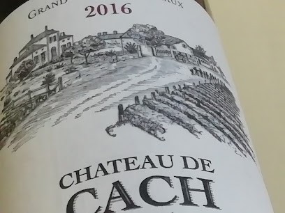 Château Cach Musso Henri, Vignoble à Saint-Laurent-Médoc