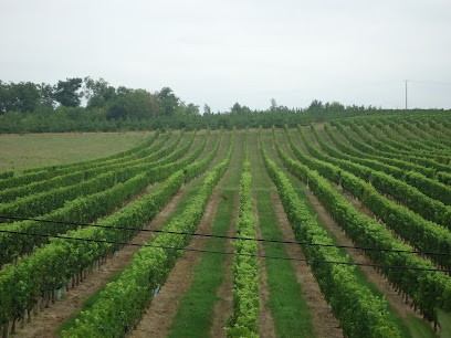 Grelier Jennifer Château Peyrot Du Bois, Vignoble à Saint-Martin-du-Bois