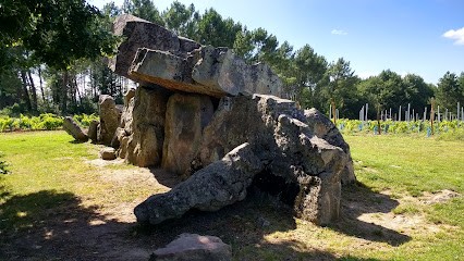Moucheboeuf Jean, Vignoble à Montguyon