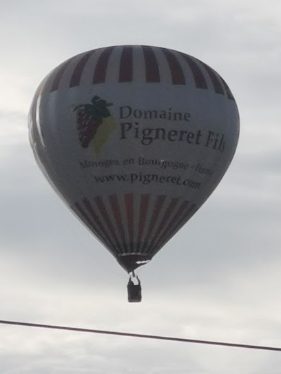 Le Chais Saint-Pierre, Vignoble à Saint-Désert
