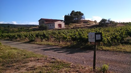 Colline de l'hirondelle, Vignoble à Douzens