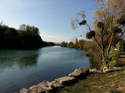 Henin Loic, Vignoble à Vincelles